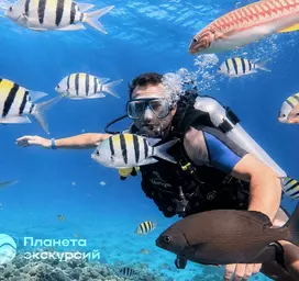 VIP-дайвинг в Сахль-Хашиш