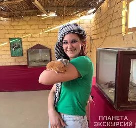 Семейное сафари без ужина в Хургаде
